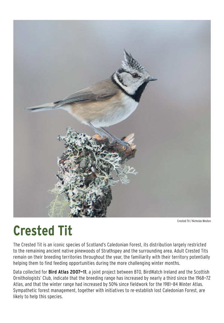 BTO 2024 Calendar BTO Services Ltd.