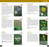 Flowers of the Brecks Part One: Heath & Grassland, by Mike Crewe