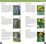 Flowers of the Brecks Part One: Heath & Grassland, by Mike Crewe