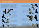 Collins BTO Guide to British Birds