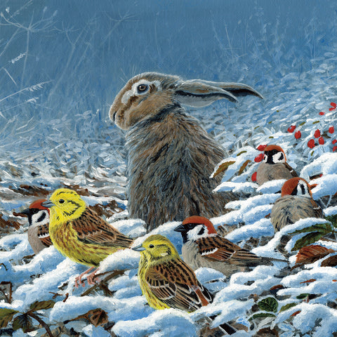 Christmas card - Brown Hare, Yellowhammers and Tree Sparrows (pack of 5)