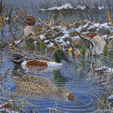 Christmas card - Winter wildfowl (pack of 5)