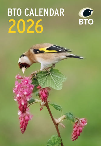BTO 2026 Calendar