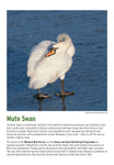 BTO 2026 Calendar