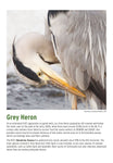 BTO 2026 Calendar