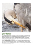 BTO 2026 Calendar