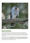 BTO 2026 Calendar