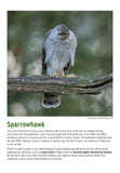 BTO 2026 Calendar