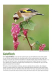 BTO 2026 Calendar