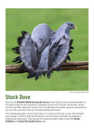 BTO 2026 Calendar