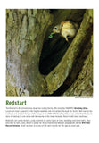 BTO 2026 Calendar