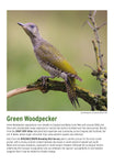 BTO 2026 Calendar