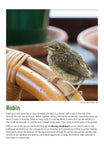 BTO 2026 Calendar