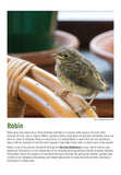 BTO 2026 Calendar
