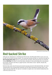 BTO 2026 Calendar
