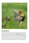 BTO 2026 Calendar