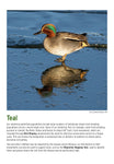 BTO 2026 Calendar