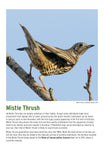 BTO 2026 Calendar
