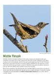 BTO 2026 Calendar