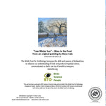 Christmas card - Garden Wren Steve Cale (pack of 5)