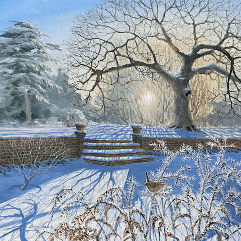 Christmas card - Garden Wren Steve Cale (pack of 5)