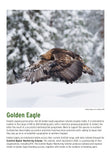 BTO 2027 Calendar