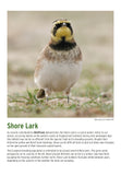 BTO 2027 Calendar