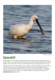 BTO 2027 Calendar