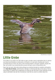 BTO 2027 Calendar