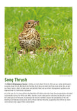 BTO 2027 Calendar