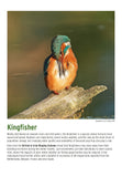 BTO 2027 Calendar