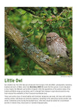 BTO 2027 Calendar