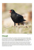 BTO 2027 Calendar