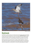 BTO 2027 Calendar
