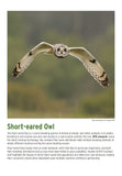 BTO 2027 Calendar