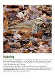 BTO 2027 Calendar