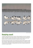 BTO 2027 Calendar