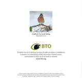 Christmas card - Chaffinch design (pack of 5)