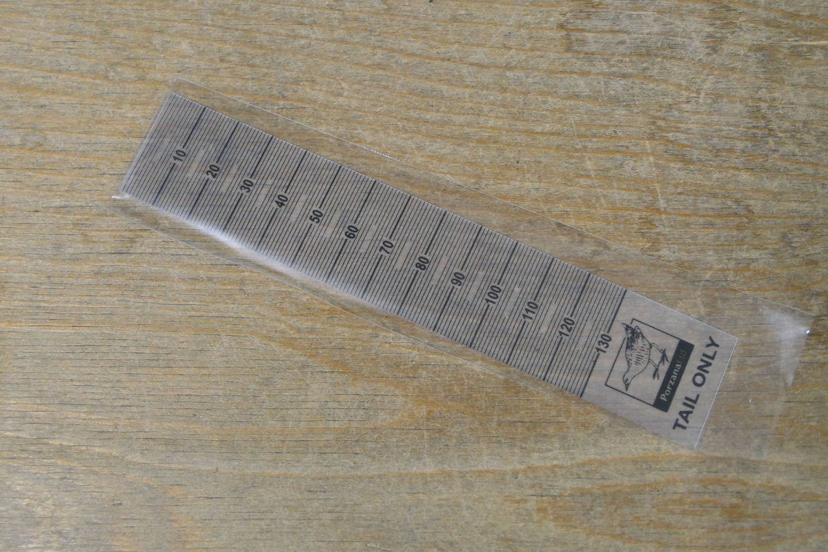 Tail Ruler - 130mm - Clear Plastic - Without End Stop – BTO Services Ltd.