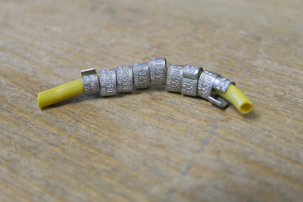 Bto Ringing Rings SO Rings – BTO Services Ltd.
