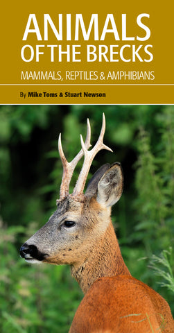 Animals of the Brecks: Mammals, Reptiles & Amphibians, by Mike Toms & Stuart Newson