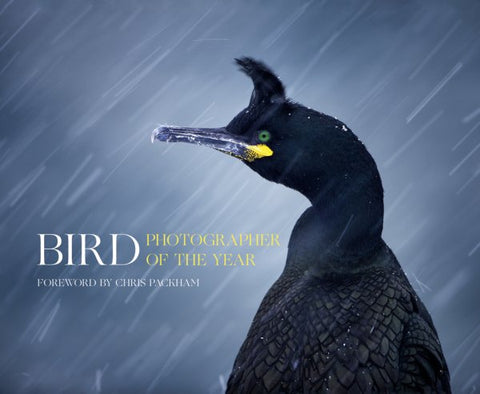 Bird Photographer of the Year (Collection 1)