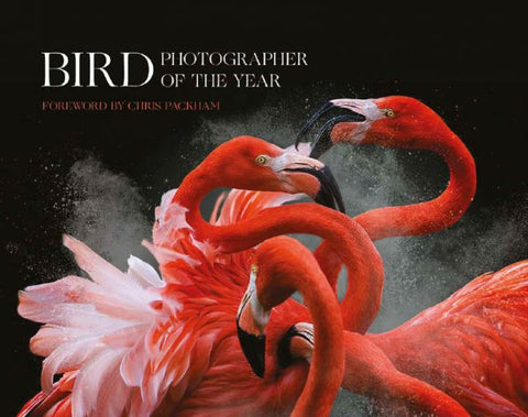 Bird Photographer of the Year (Collection 3)