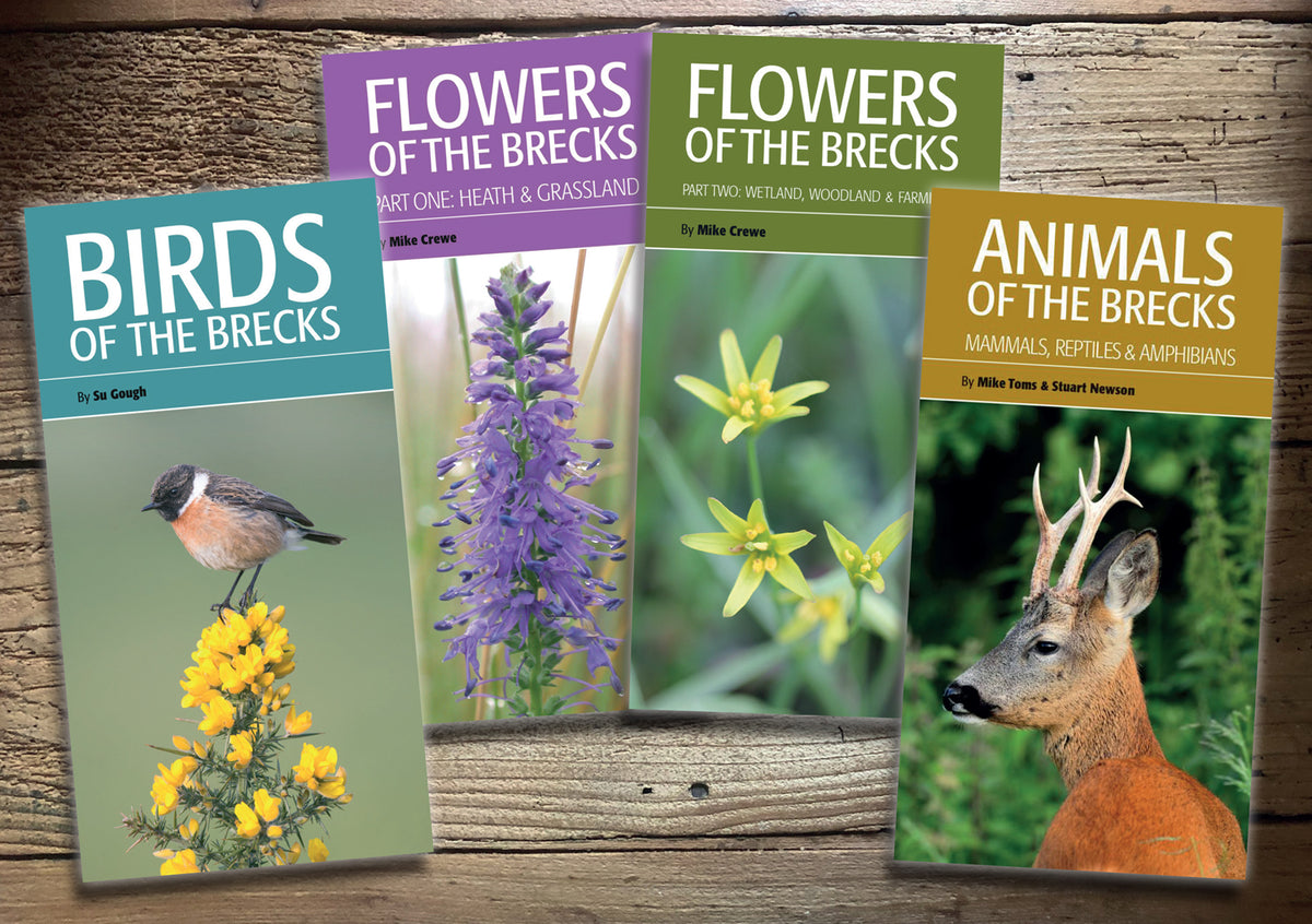 Breckse Brecks Guides (set of four volumes) – BTO Services Ltd.