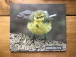 BTO Mouse mat - Yellow Wagtail