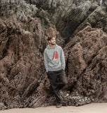 Robin Men's Hoodie